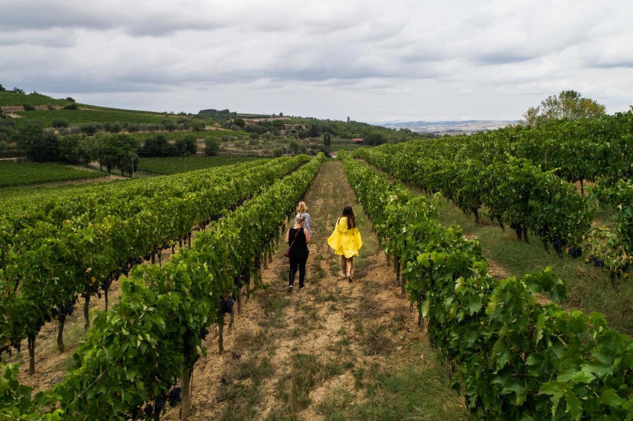 Wine Estate Rooms Paradiso Di Cacuci 몬탈치노 외부 사진